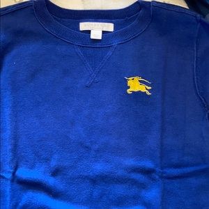 Blue Burberry sweater